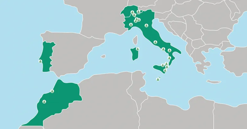 Mappa con le sedi di Milano Green Consulting